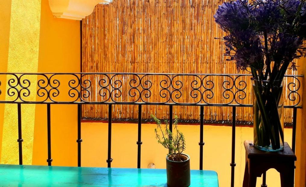 Hotel Casa Gecko *