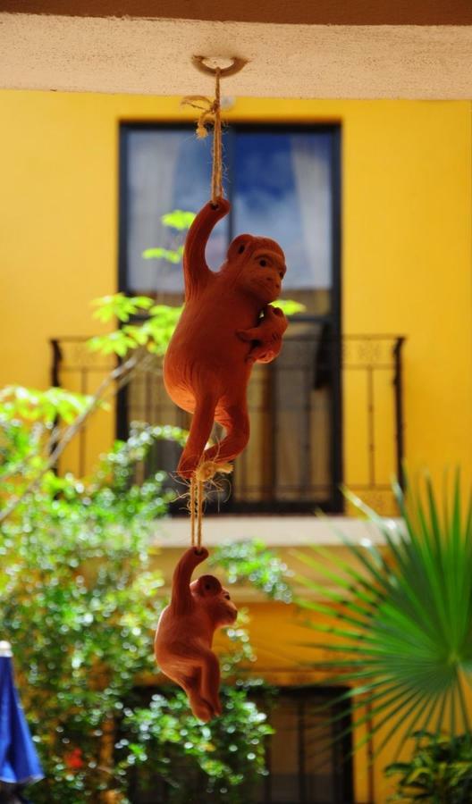 Casa Gecko Hotel *